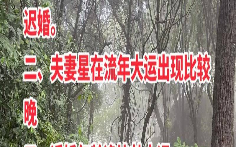 八字看将要嫁什么样的人（晚婚必嫁有钱人）