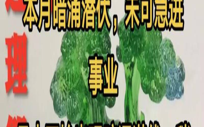 生肖猪是哪几年出生的（属猪的所有年份）