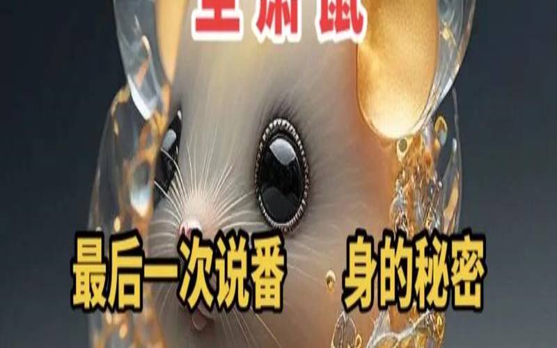 1984年天蝎座是几月几日（84年女鼠适合做什么生意）