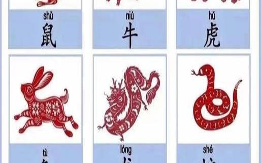 后方八千里是指什么生肖（始代表什么生肖）