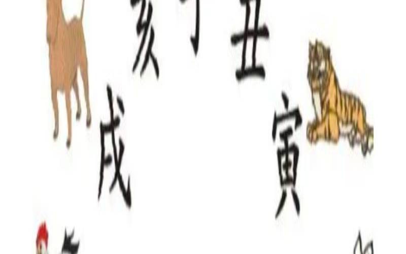 十二生肖时辰婚姻配对大全（时辰相冲对照表）