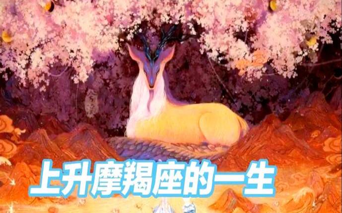 摩羯座的天顶星座（天顶巨蟹天底摩羯）