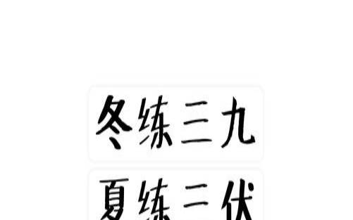 冬练三的下一句是什么（立冬是什么生肖）