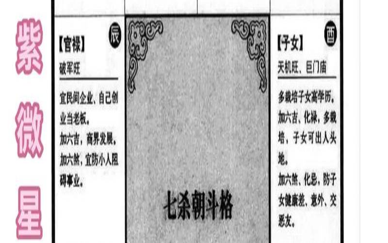 紫微命格怎么看（紫微斗数看什么人城府深）