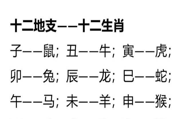 地支生肖对应表口诀（地支生肖对照表口诀）