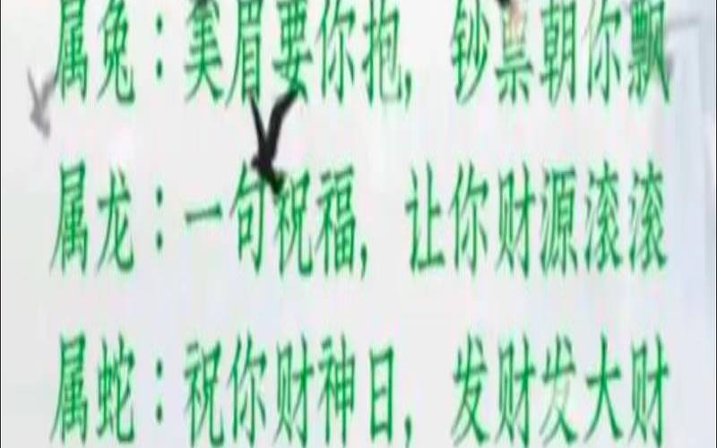 属虎的在牛年2021运势（属牛的74岁了还能活几年）
