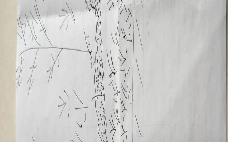 一人一树一房子心理测试画（好玩的心理测试题有答案）