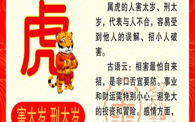 属虎今日运势及财运（74年虎2025年每月运势）