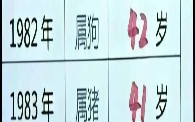 蛇属年份有哪些（属蛇的都是哪些年份）