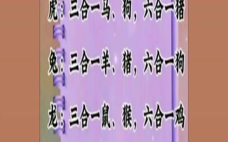 组队偷小孩是什么意思（偷肖有哪些生肖）