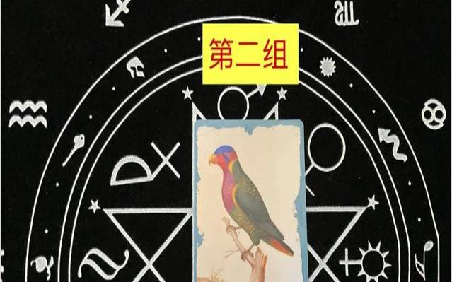 塔罗牌和易经比哪个厉害（塔罗你担心的事的结果）