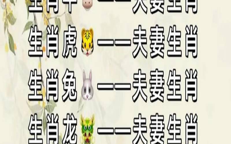 姻缘配对生肖（生肖配婚姻表）