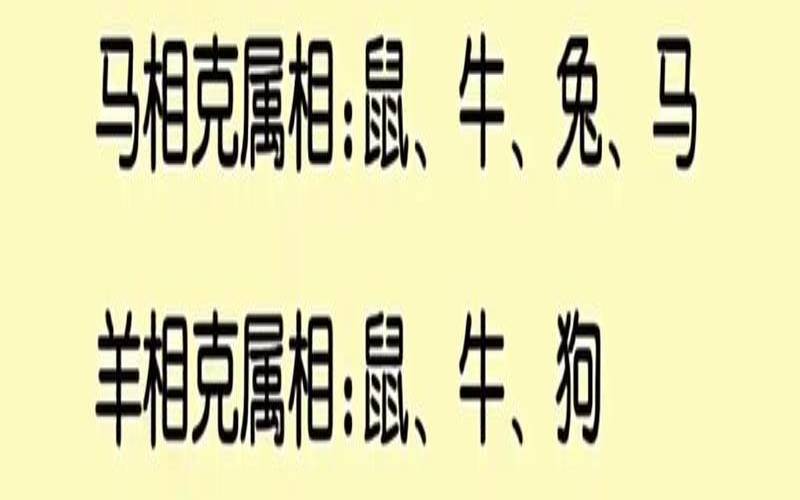 生肖属龙和什么生肖最合适（属龙和属狗的相配吗）