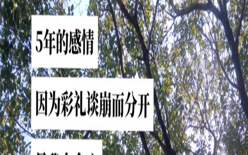 测试未来五年（五年的感情多久能放下）