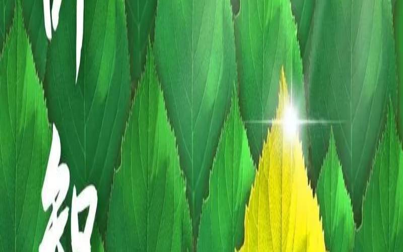 立秋如何开运（增加好运的方法）