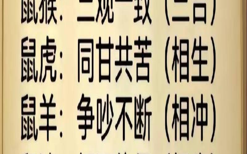 十二生肖鼠的爱情与婚姻（属鼠今年感情运势怎么样）