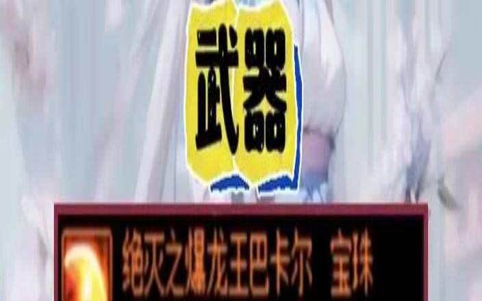 地下城属性宝珠有哪些（地下城宠物宝珠）