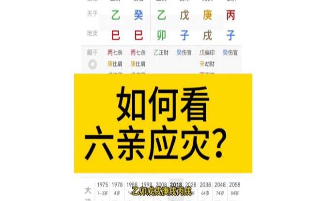 八字怎样看姐妹兄弟几个（通过八字看有几个孩子）