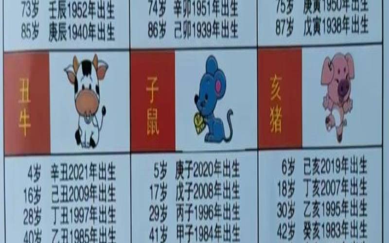 2013年的生肖是什么生肖（2013年出生属相）