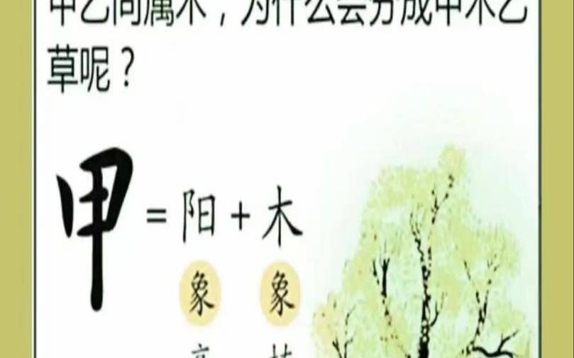 八字命理解说（甲木八字100例）