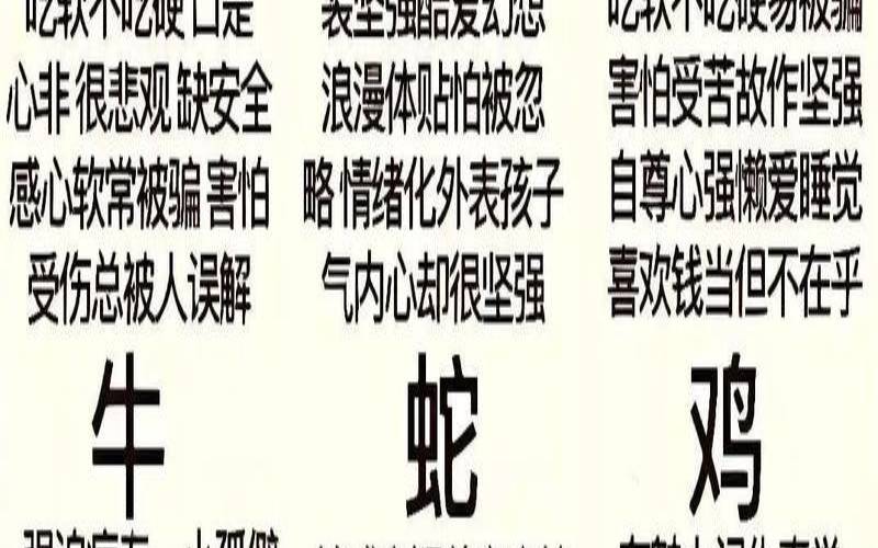 特别指什么生肖（十二生肖大全套）