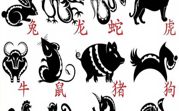 喝醉酒代表什么数字（人5人6是什么生肖）