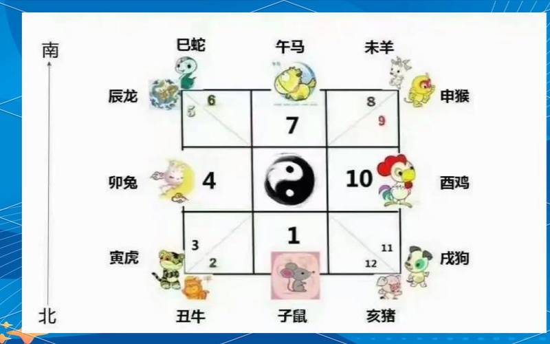 2755的数字代表什么（231547轮是什么生肖）