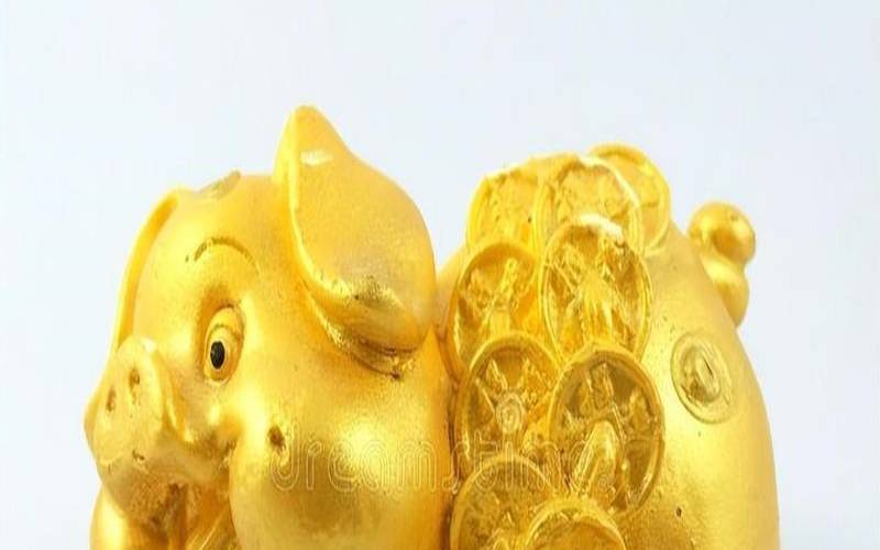 生肖年份2018属猪（属猪适合干什么行业最赚钱）