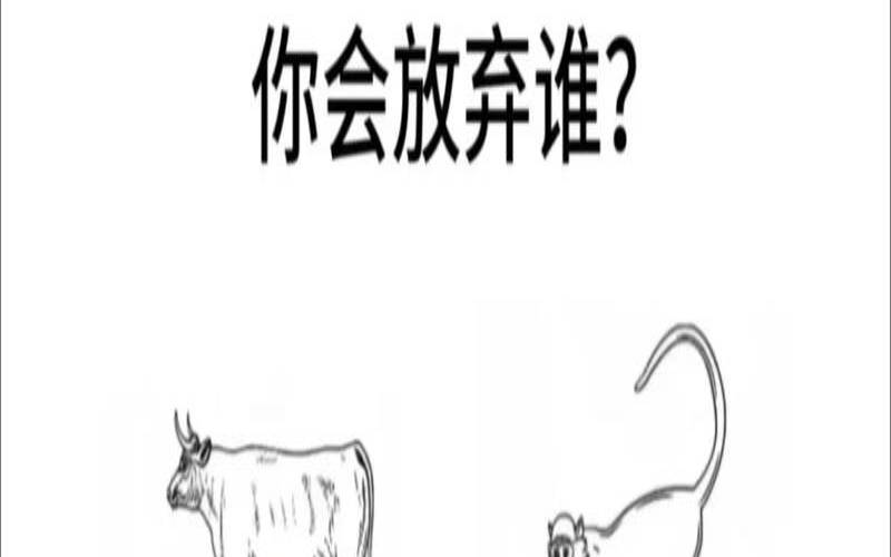 心理测试免费测试（心理测试题在线测试）