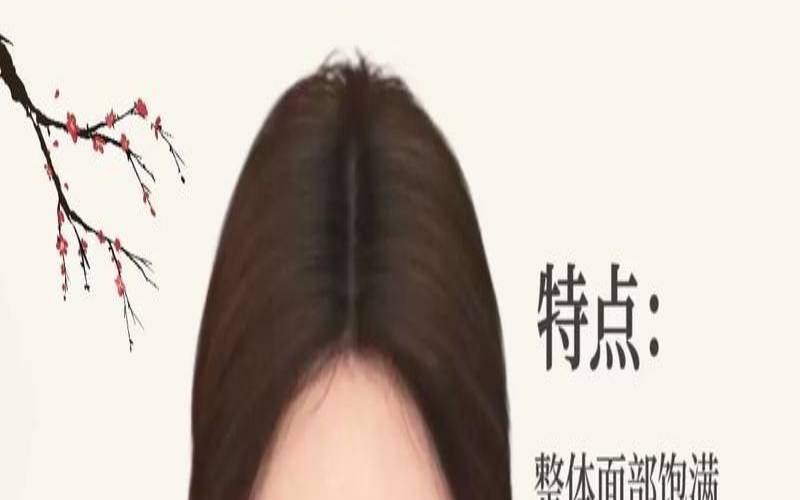 测试你的个人魅力（测测你属于几分美貌）