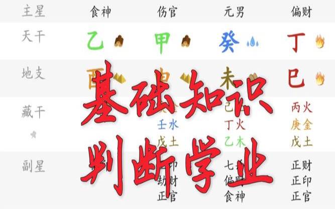 八字测学业有多远邵文