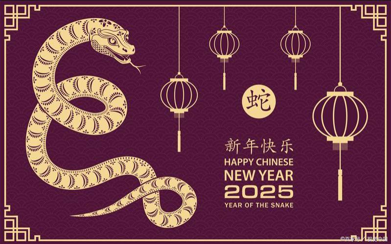 属蛇明年的财运怎么样（属蛇女从事什么工作挣钱）
