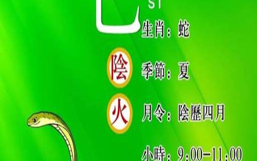 火十二生肖指的什么生肖（火是代表什么生肖）