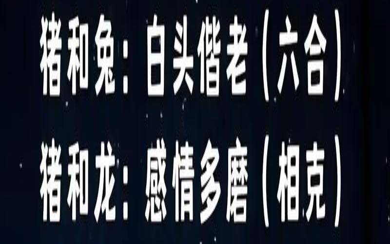 女生肖兔跟什么生肖最配（属猪和属兔的婚姻怎么样）