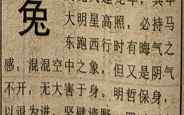 属兔今天运程（属兔的今天运势如何）