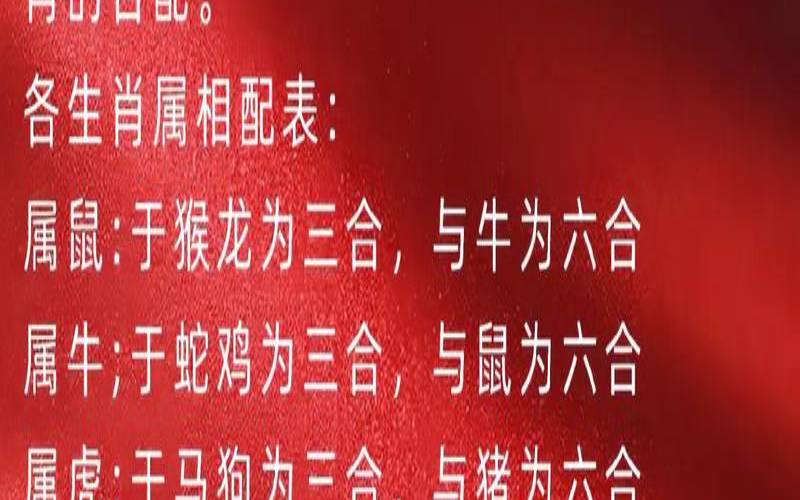 密码456后面是什么（6代表什么生肖）