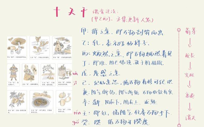 雪中悍刀行十二天干地支（雪中悍刀行一步入天象）