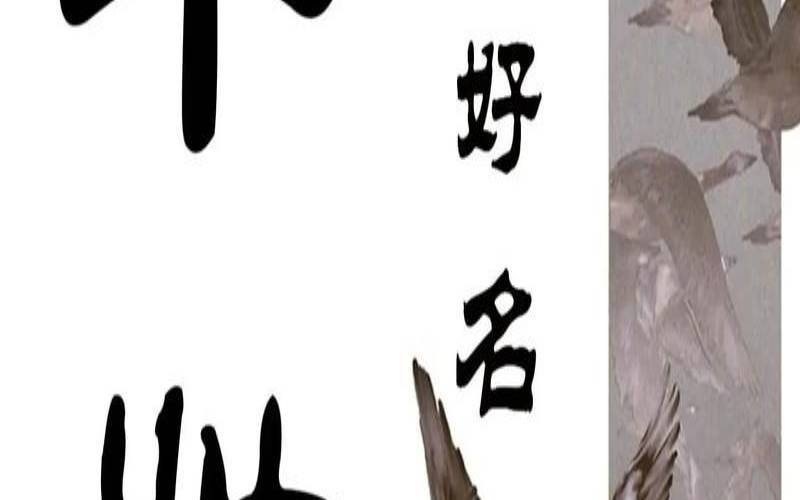 2021年姓毕女孩起名（女孩姓毕叫什么好听）