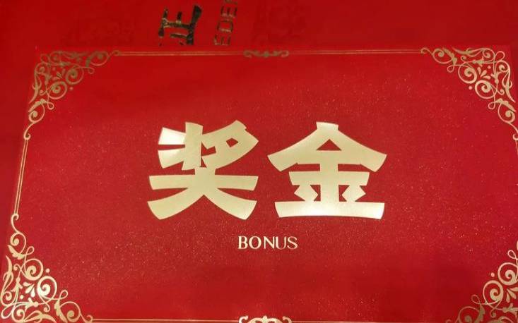 拿到年终奖的感想发言（收到年终奖的心情）