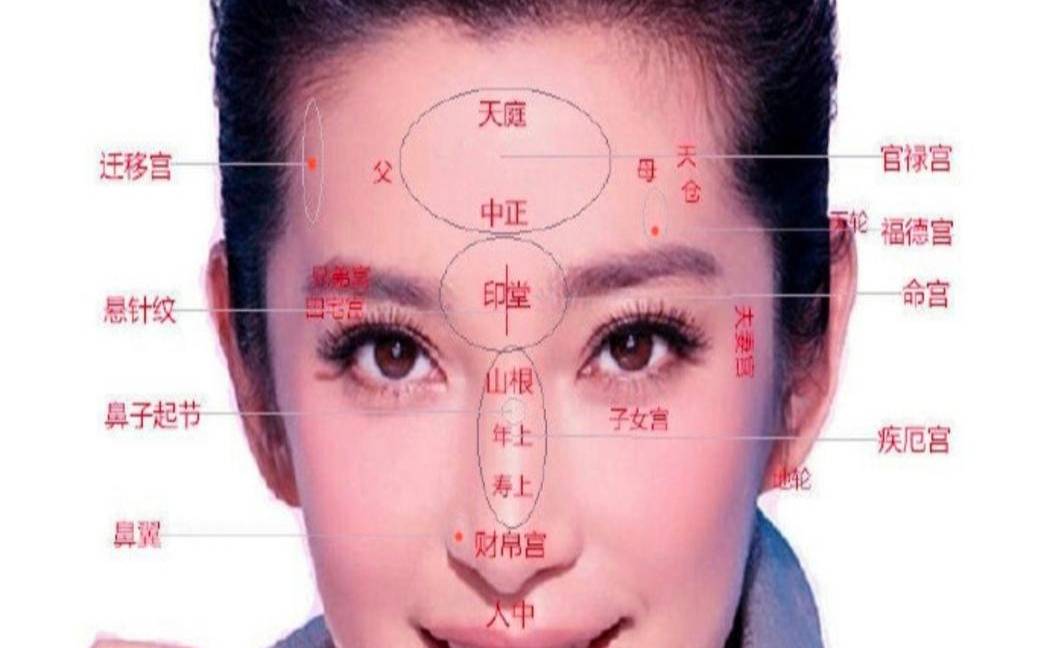 面相学五官分析在线（五官比例测试）
