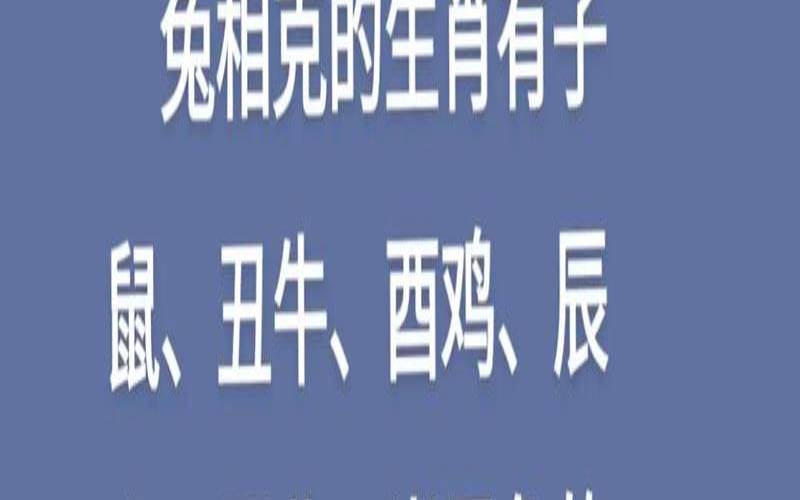 属鸡遇到牛年运势如何（鸡兔牛一家人好吗）