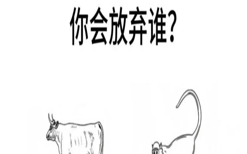 简短有趣的心理测试（心理测试免费自测题）