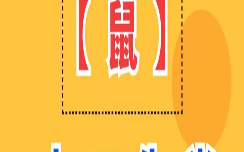 十二生肖鼠今年运势查询（怎么查看今日运势）