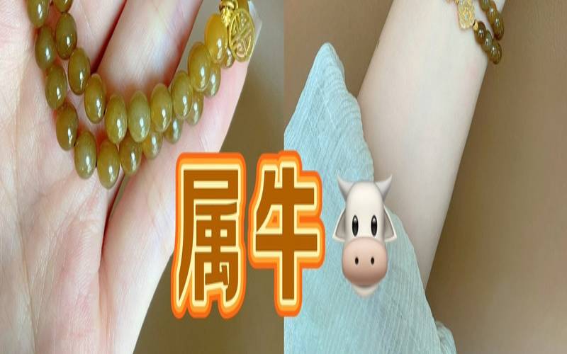 1973年属牛人的吉利数字（73年牛戴啥首饰好）