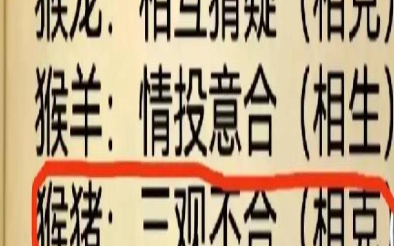猴和什么生肖配对最好（猴跟什么生肖不合）