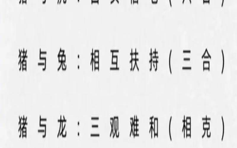 生肖不合八字合是正缘吗（八字合重要还是属相合重要）