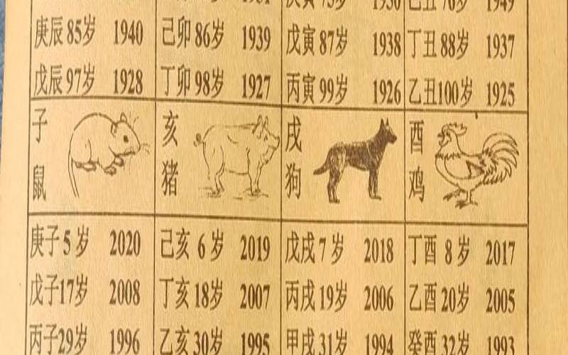 玄学137是什么意思（123是什么生肖）