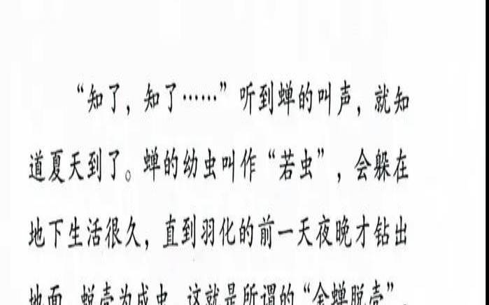 12月代表着什么（夏字打一生肖是什么生肖）