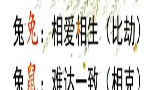 猪生肖和什么最配对（兔和猪属相能配夫妻吗）