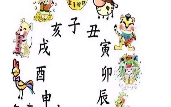 鸡的天干地支是什么（鸡的十二地支是什么）